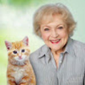 Meet your Posher, Kat